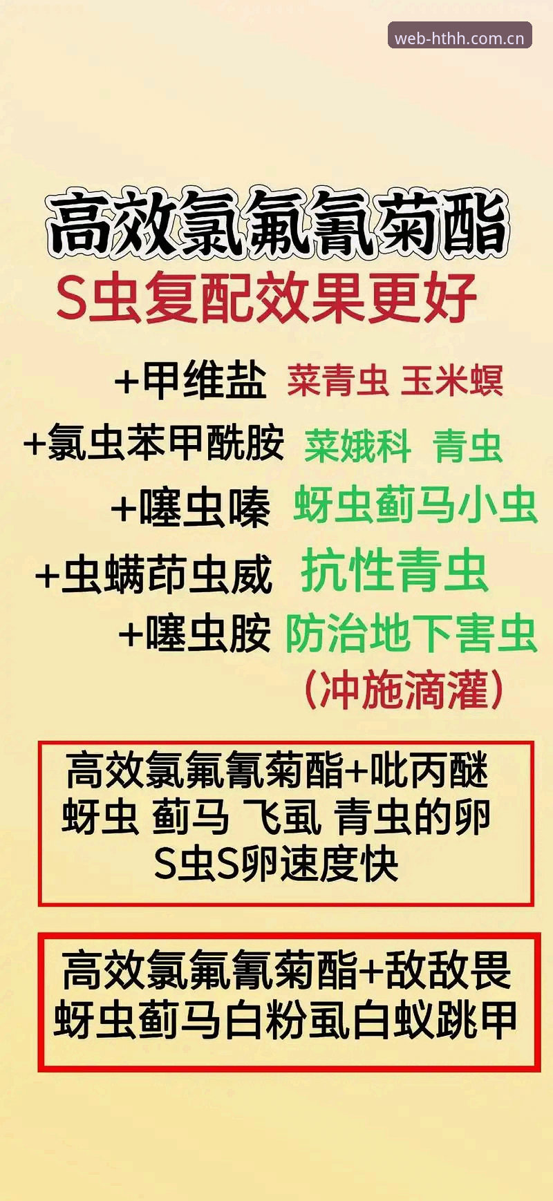 hth官网登录使用技巧 HTH体育官网登录使用完整指南:老用户分享的高效操作技巧
